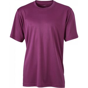 James & Nicholson Základní pánské funkční tričko na sport a volný čas James and Nicholson Barva: Fialová, Velikost: 3XL JN358